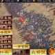 三国群英传9