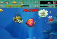 大鱼吃小鱼下载