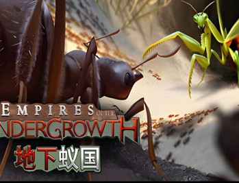 地下蚁国下载